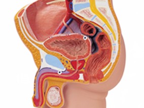 过量硒补充可能会增加前列腺癌患者的死亡风险