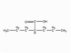低白蛋白影响住院患者体内部分游离丙戊酸浓度