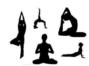 不建议冠心病、心衰和心律失常患者使用瑜伽作为辅助治疗