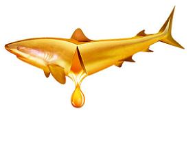 较高摄入海洋和植物ω-3脂肪酸均与心血管死亡率风险降低相关