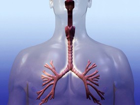 严重社区获得性肺炎患者使用低剂量糖皮质激素或降低28日死亡率