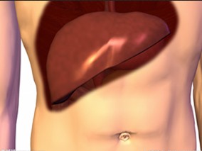 肝细胞癌患者肝功能评估的新方法