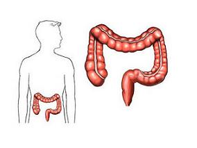 转移性结直肠癌持续性与间歇性治疗策略孰优孰劣？
