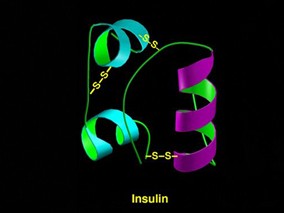 优化药物治疗可改善PCI或CABG血运重建的复杂冠状动脉病变患者的结局