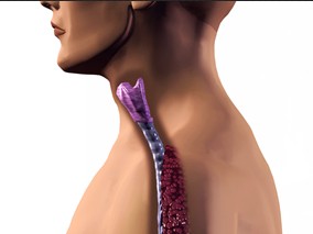 嗜酸性食管炎不同药物治疗方案的比较