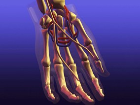 RA患者使用托珠单抗时体液免疫应答不受影响