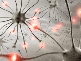 别嘌呤醇与非致死性急性心肌梗死风险降低相关