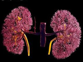 短期使用柠檬酸铁能够改善3~5期CKD患者的缺铁性贫血和血磷水平