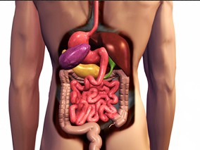 腹部和盆腔对比增强CT：碘克沙醇舒适度和图像质量优于碘帕醇