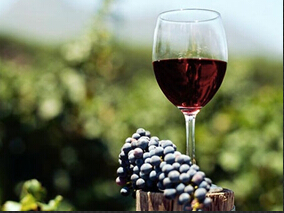 葡萄酒消费对慢性心力衰竭患者是否有益?