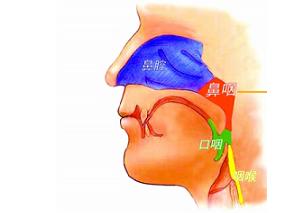 同步放化疗可改善鼻咽癌患者生存期？