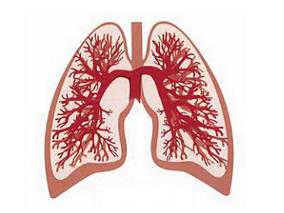 布地奈德/福莫特罗作为HSCT后BOS替代治疗是否有效？