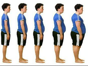 Akkermansia muciniphila与肥胖患者饮食干预代谢改善的相关性