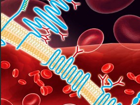 静脉血液滤过危重患者哌拉西林药代动力学：持续输注VS间断推注