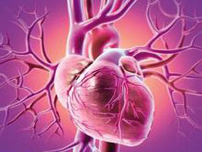 他汀强化治疗能显著降低冠状动脉高信号斑块的PMR