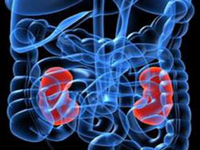 转移性肾细胞癌一线治疗：EVE/BEV与IFN/BEV疗效相似