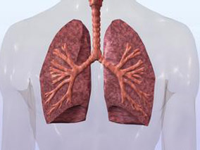 金属纳米粒子将成为新型抗结核药物