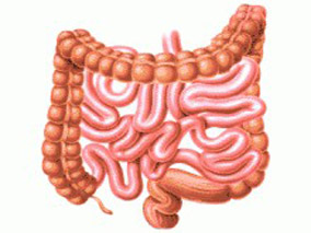 优化IFX给药可将无ATI的IBD患者IFX治疗相关就诊次数降低三分之一
