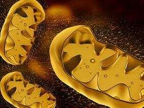 基于索非布韦的治疗方案对于1型和2型HCV的有效性分析