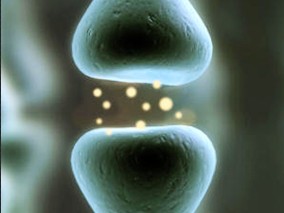 托珠单抗治疗的RA患者发生巨噬细胞活化综合征一例