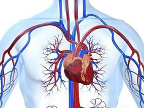 全面控制心血管风险因素可以改善T2DM伴发CAD患者的生存