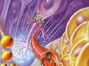 减少机械瓣膜诱导的凝血酶形成 达比加群为何不如华法林有效？