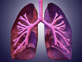 异烟肼和利福喷丁3个月方案可增加结核患者的治疗依从性