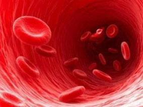 评估万古霉素治疗迟发型新生儿败血症AUC/MIC≥400的评价指标