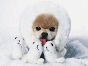 天冷会增加心血管疾病死亡风险