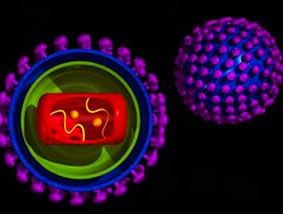 抗病毒治疗可有效改善儿童乙肝患者的HBV DNA抑制
