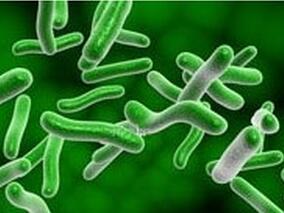 每日使用益生菌制剂能否降低哮喘患者冬季抗菌药的使用？