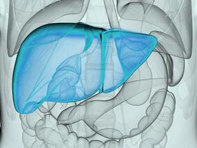 直接抗病毒治疗能否改善丙肝肝硬化失代偿期患者的长期结局?