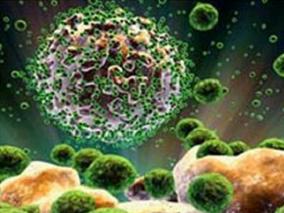 我国一线抗结核药诱发肝损伤的发病率、风险因素、管理和治疗结局