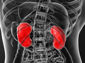 多学科讨论:减少脓毒性休克患者肾衰 加压素比去甲肾更胜一筹?