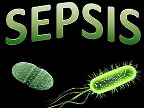 给予亚硒酸钠或PCT指导的治疗均不减低严重脓毒症患者的死亡率