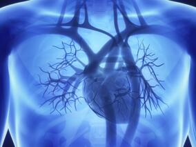 具有较高基线LAP体积的患者能否从他汀治疗中获益？