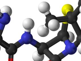 阿莫西林非线性吸收药动学：哪种给药方案最佳？