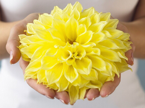 女54岁,4个月前出现阴道不规则流血,色鲜红,量多