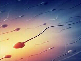 多学科讨论:PPI对计划怀孕的夫妻中的男性精液质量有害吗?