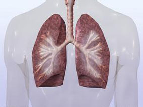 社区获得性肺炎患者短期糖皮质激素治疗安全