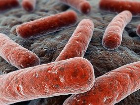 包含氟喹诺酮类药物的治疗方案可改善异烟肼耐药肺结核患者结局