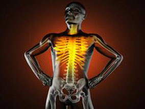 局部万古霉素联合静脉头孢唑林可降低MLSF患者SSI风险？