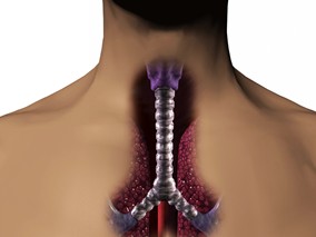 HER2阳性晚期胃食管癌：拉帕替尼联合CapeOx治疗是否有效？