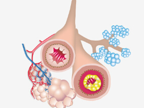 哮喘患者补充维生素D可对抗感冒？