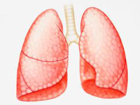 厄他培南治疗多药耐药性结核病很有前景
