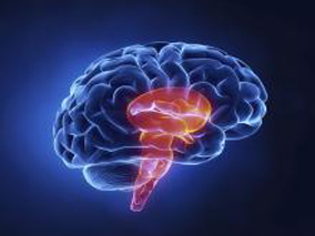 缺血性卒中或TIA：对乙酰氨基酚或布洛芬与MACE或严重出血相关？