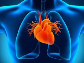 高密度脂蛋白水平低是心血管疾病的独立风险因素？