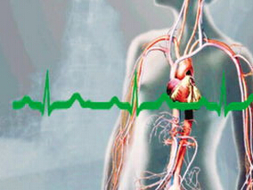 多学科讨论：大环内酯类抗生素是否增加心律失常风险？