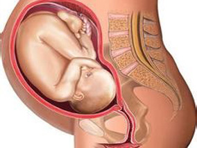 抗甲状腺药与出生缺陷相关