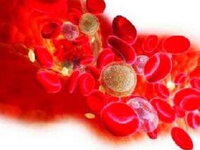 菊粉可显著改善PPI相关低镁血症患者的血清镁水平